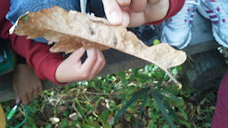 f0161535_23585899.jpg