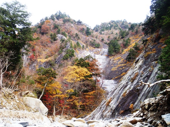 f0182938_2101670.jpg