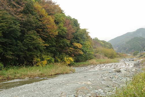 a0048040_2233046.jpg
