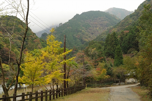 a0048040_2242076.jpg