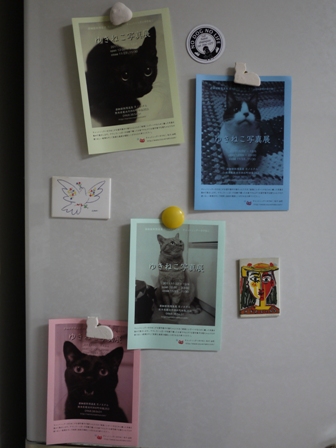 猫のお友だち 珊瑚ちゃん祿太くん編。_a0143140_21414624.jpg