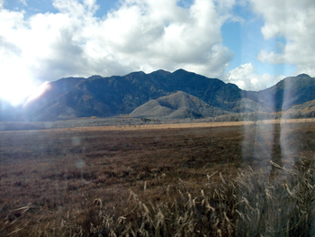 e0110940_15441763.jpg