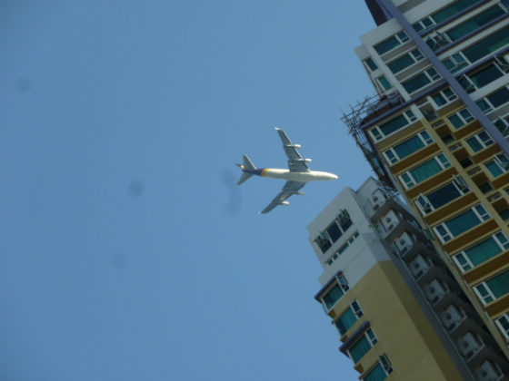 e0248743_8212367.jpg