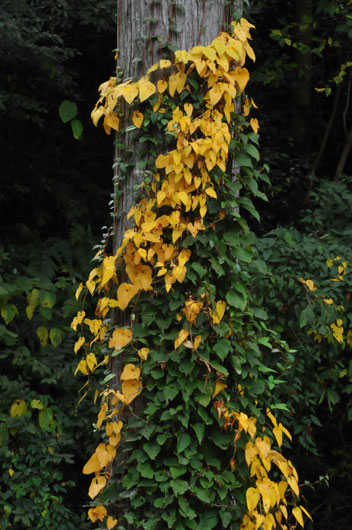 c0093046_1849233.jpg