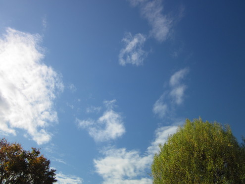 a0162251_12301639.jpg