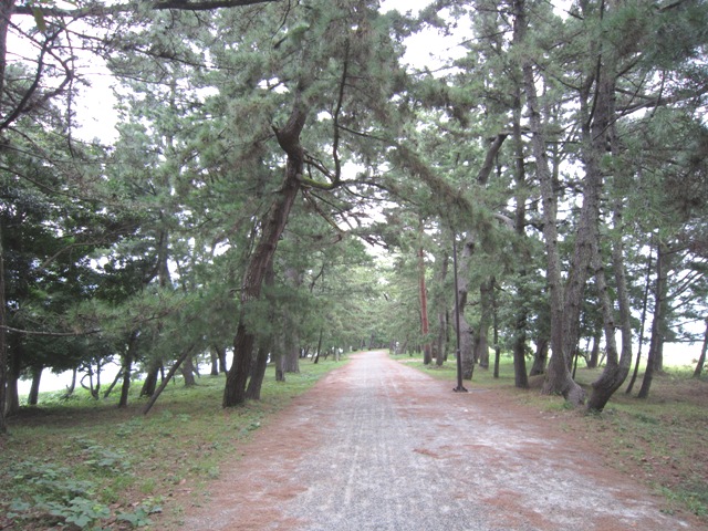 b0173754_13295991.jpg