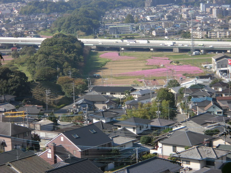c0125356_2337534.jpg