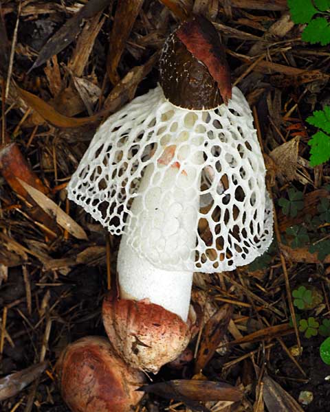 e0035757_23262977.jpg