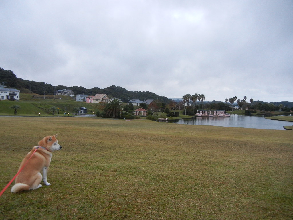 2011年11月8日(火)立冬でやや寒!_f0060461_1514949.jpg