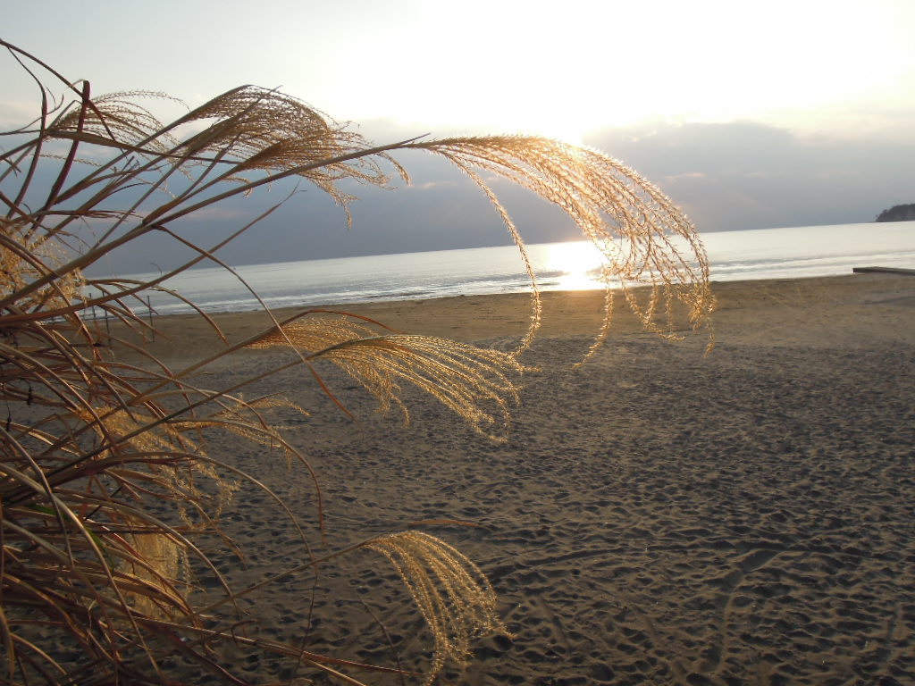 秋の砂浜散歩♪波打ち際の忘れ物。_a0199262_1231515.jpg