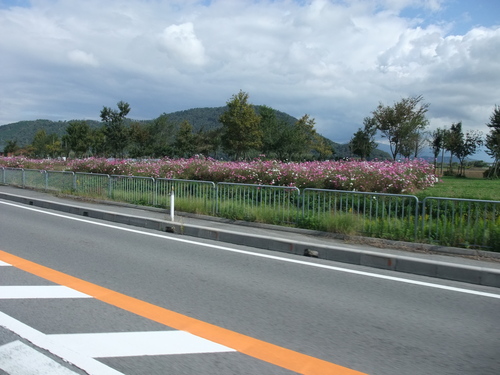 琵琶湖一周サイクリング１８０ｋｍ　～湖東編～_d0174462_5133071.jpg