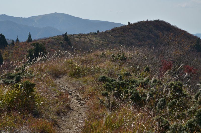 紅葉の山へ・武奈ヶ岳②_e0215964_23522152.jpg