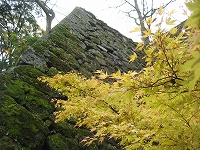 岡城跡の紅葉_a0093965_1114261.jpg