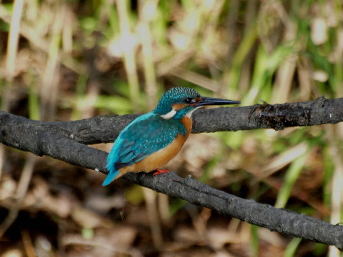 f0208666_14351730.jpg
