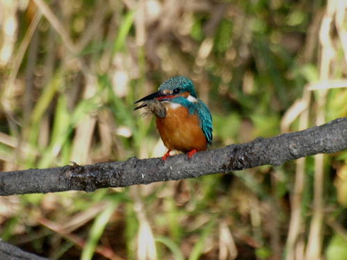 f0208666_14422447.jpg