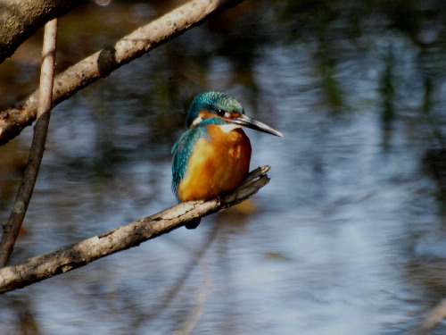 f0208666_14483970.jpg