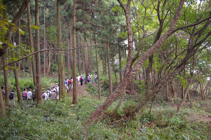 里山ってなんだ 第15回六国見山に貴重なヤシャブシ自生 北鎌倉湧水ネットワーク
