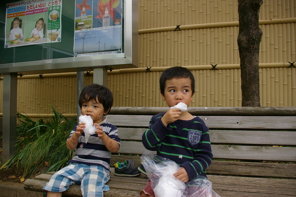 「給食を食べ続けて逃げ遅れました」: He couldn\'t survive from the earthquake ;)_a0186568_104329.jpg