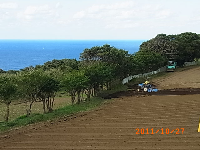 永郷から八丈小島を望む 発祥園さんのあしたば畑からの風景 百合日記