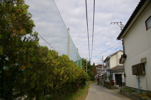 １１月半ば、まだまだ。。慣れは当り前になって癖になって、普通になる。立ち上がることさえ忘れちゃう・・_a0111271_22255512.jpg