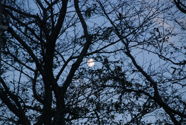 c0204971_225216.jpg