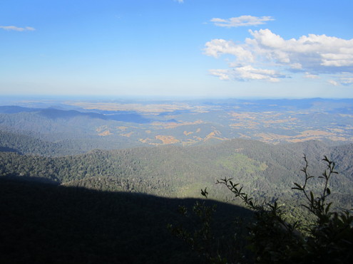 b0193476_114806.jpg