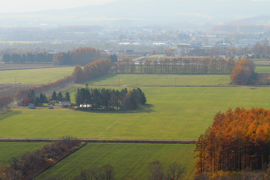 晩秋の北海道　- 十勝めぐり・最終日 -　（2011.11.4）_a0049978_15204689.jpg