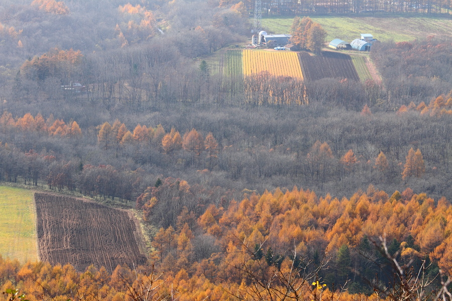 晩秋の北海道　- 十勝めぐり・最終日 -　（2011.11.4）_a0049978_15232469.jpg