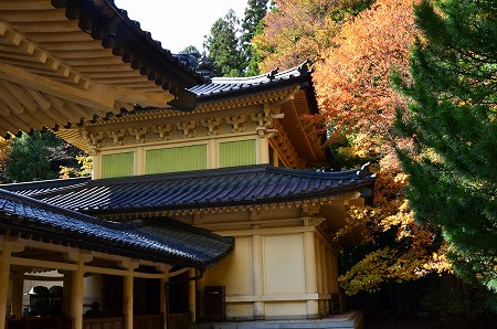 高野山　霊宝館の紅葉_c0229483_23401966.jpg