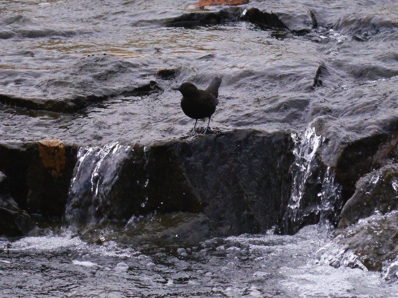 b0203989_22143172.jpg