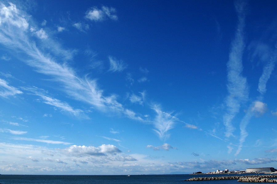 a0143491_1849748.jpg