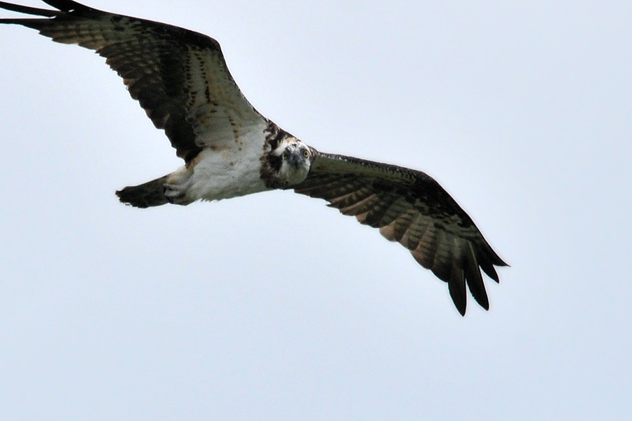 a0143491_18571368.jpg