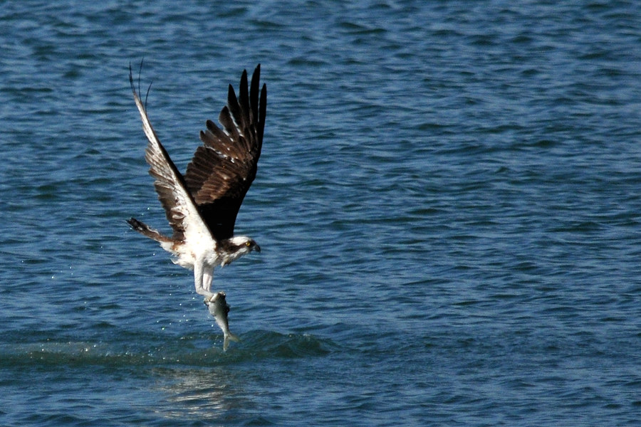 a0143491_18593354.jpg