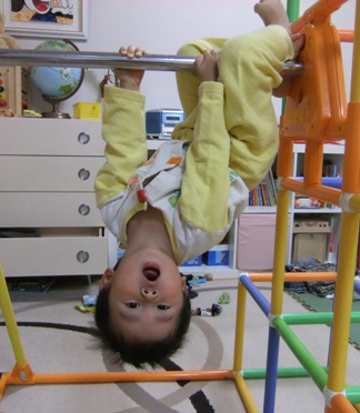 連続逆上がり 年長さん とブタの丸焼き 2歳 わたし的日常 東京 おもちゃで幼児教育 中学受験 連続逆上がり 年長さん とブタの丸焼き 2歳 わたし的日常 東京 おもちゃで幼児教育 中学受験