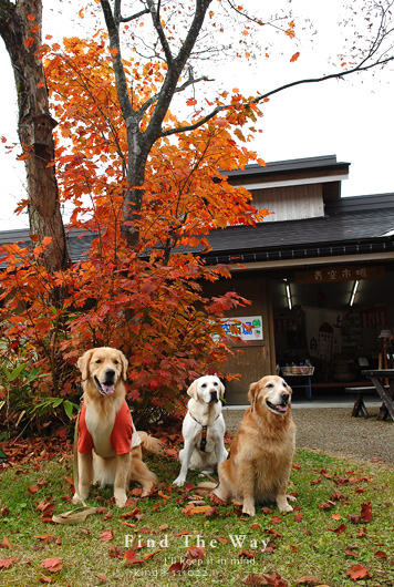 【wanこ】高山オフ 2011 vol.4 〜 足湯と蕎麦_f0054594_19324329.jpg