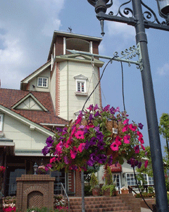 c0093196_9592389.gif