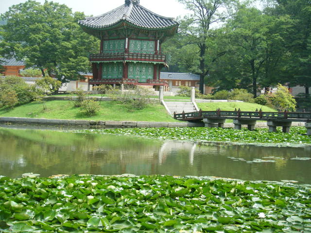 a0196698_1011659.jpg