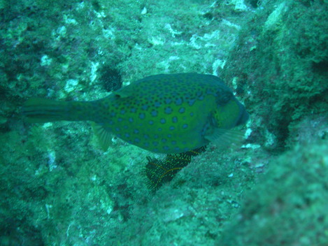 e0115199_040241.jpg