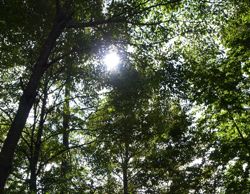 d0023704_1203363.jpg