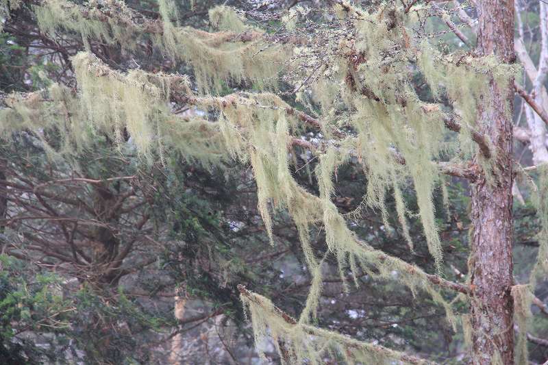 a0188405_1042099.jpg