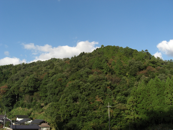 e0252905_6115698.jpg