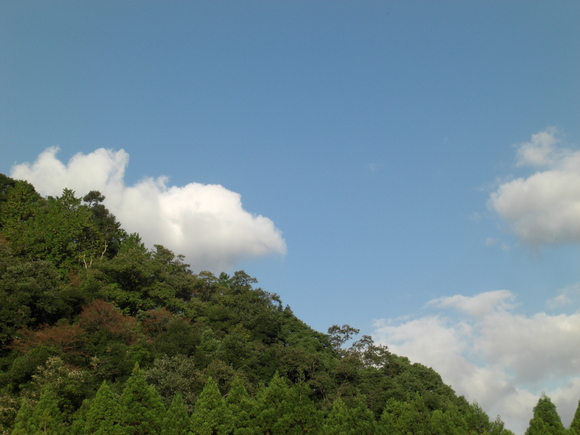 e0252905_614328.jpg