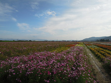 a0041508_19394625.jpg
