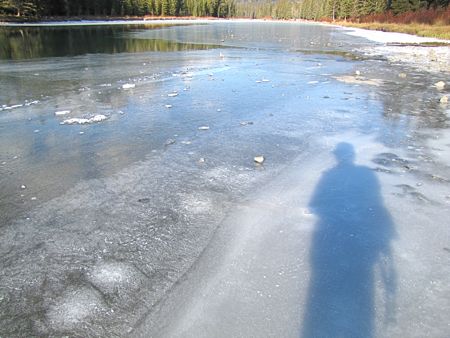 b0051109_645634.jpg