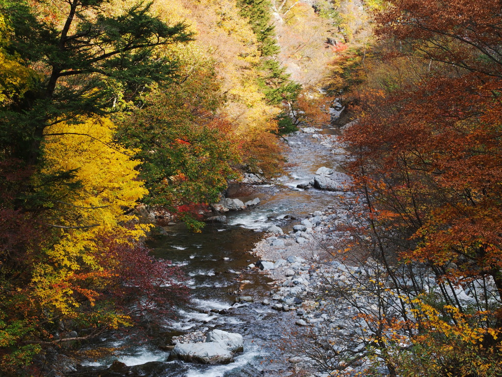 丹波山村の秋　その２_d0192516_10334062.jpg