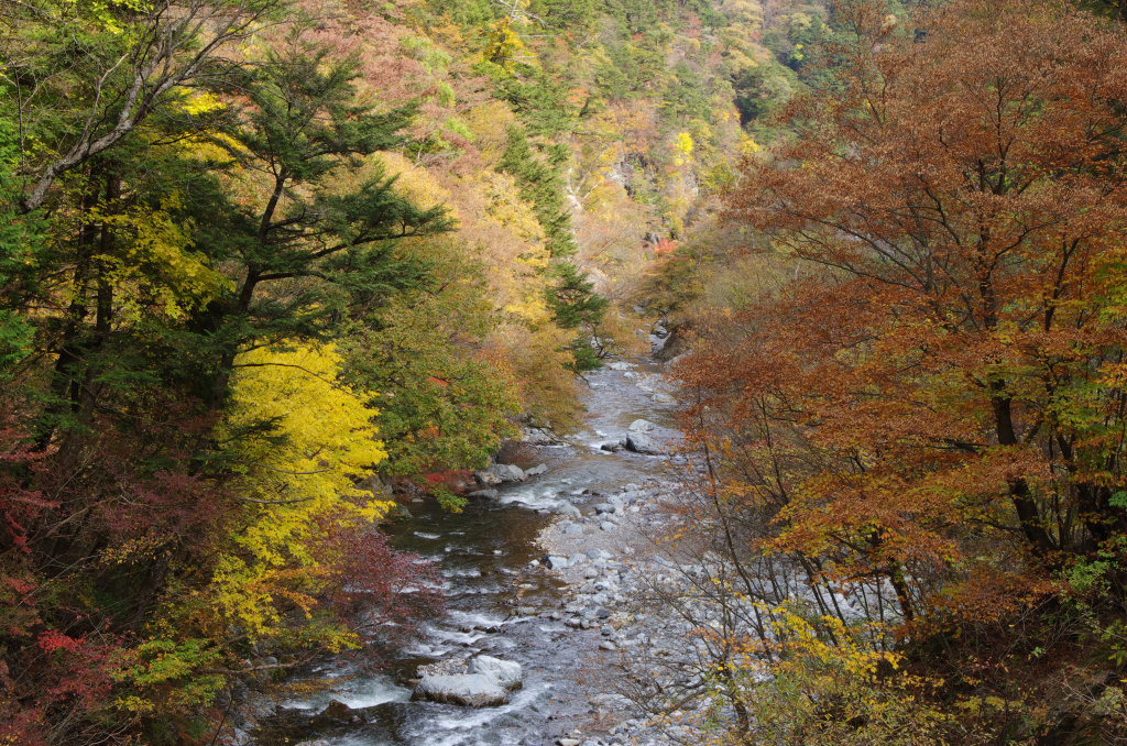 丹波山村の秋　その２_d0192516_10343514.jpg