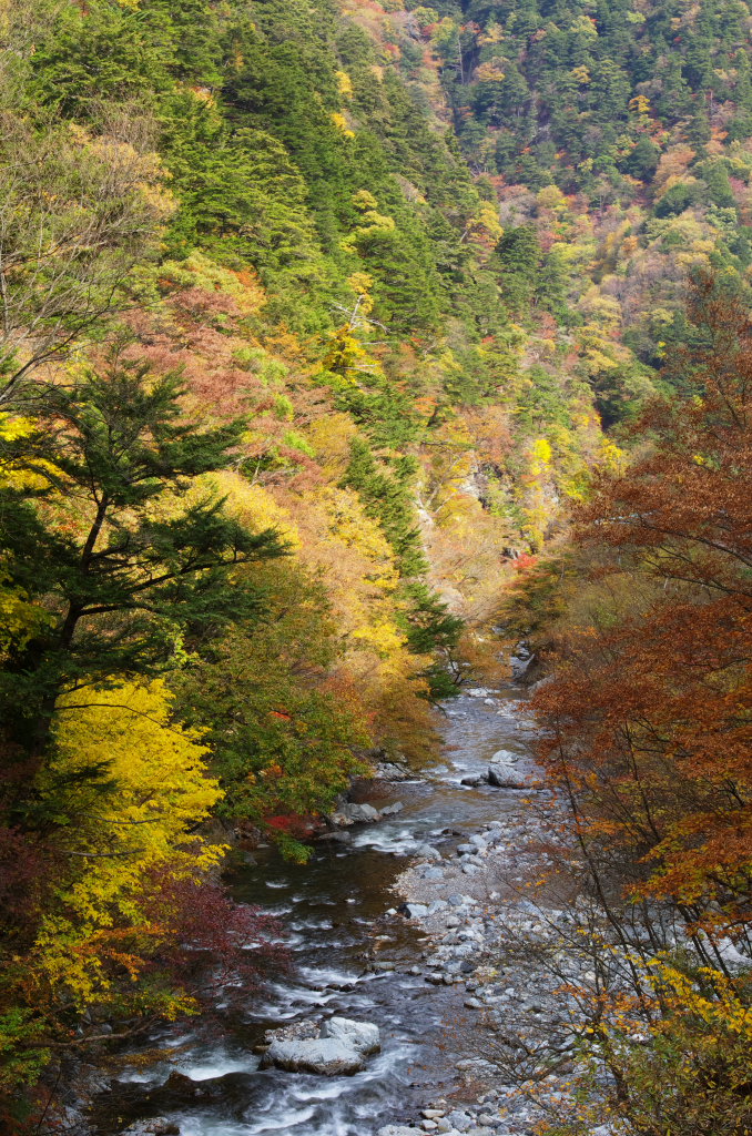 丹波山村の秋　その２_d0192516_10344936.jpg