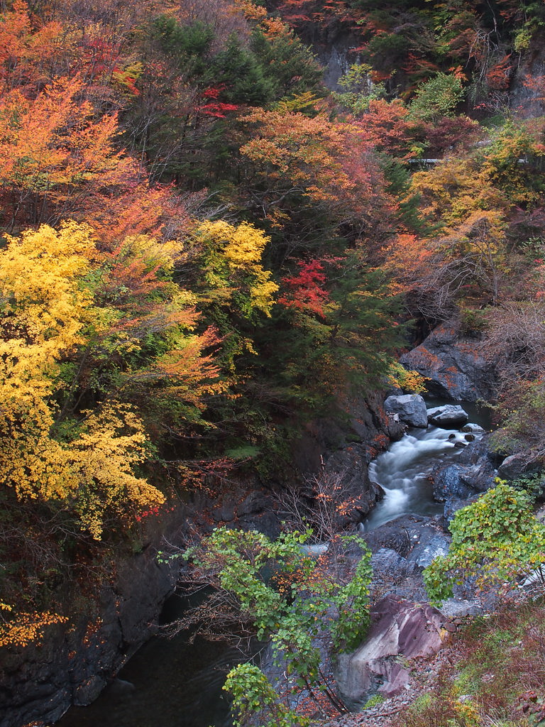 丹波山村の秋　その２_d0192516_10363618.jpg