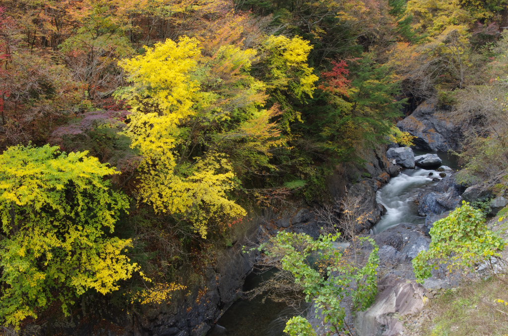 丹波山村の秋　その２_d0192516_10383316.jpg