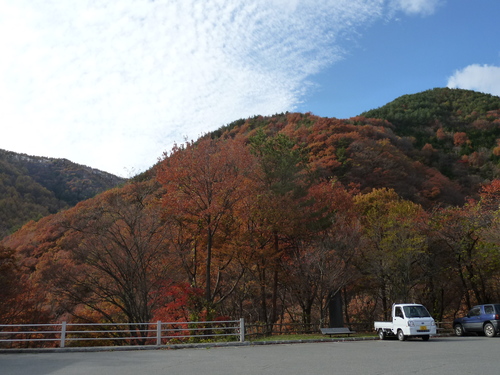 紅葉に惚れた？_b0208620_16522340.jpg